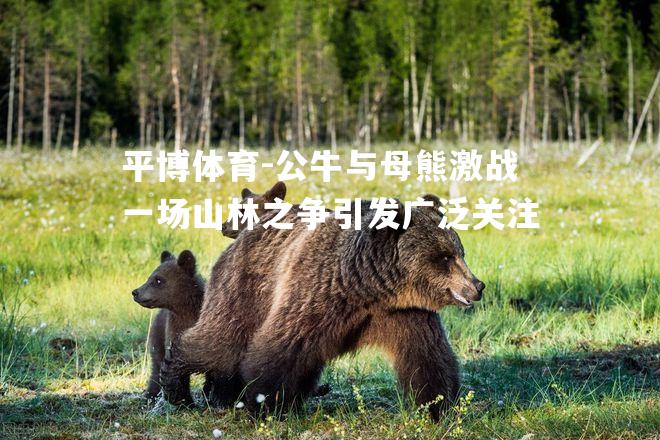 公牛与母熊激战一场山林之争引发广泛关注